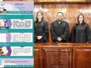 Jaguar Negro | ¿Seguirá Teqroo con el mismo presidente pese a todos los señalamientos?