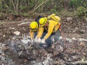 Registra Quintana Roo 8 incendios forestales activos en lo que va de la temporada 2025