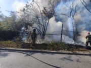 Registran 2 incendios más en áreas verdes de Benito Juárez