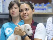Mantenemos acciones permanentes para combatir maltrato de mascotas: Ana Paty Peralta