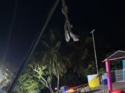 Balacera en Isla Mujeres causó pánico y no hay respuesta oficial