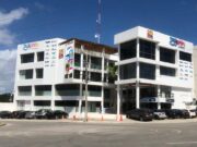 Anuncia The Dolphin Company adquisición de 8 mdd de financiamiento tras nombramiento de 2 nuevos líderes