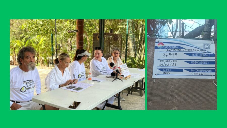 Catedral vs Ombligo Verde