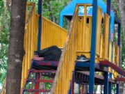 Abundan extranjeros entre indigentes de Playa del Carmen