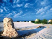 Opinión | Biodiversidad y ecoturismo en el norte de México: oportunidad para viajes sostenibles | Alma Mater | José Francisco Domínguez