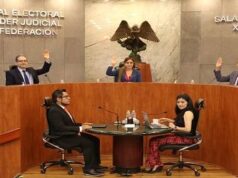Jaguar Negro | El 101 y Xalapa: ¿la librarán Pepe de la Peña y Muedano?
