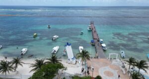 Pájaros en el Alambre | Puerto Morelos: un oasis sin sargazo, gracias a su escudo de boyas