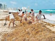 Sector hotelero de Cancún se niega a trasladar el sargazo al relleno sanitario