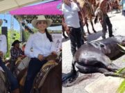 Acusan a diputadas de la 4T por maltrato animal contra dos caballos en cabalgata