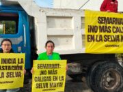 Desmiente Greenpeace a Semarnat: sí autorizó megasascabera de CEMEX en Tulum