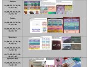 Proponen anular elección de ministros por propaganda coordinada de «acordeones»