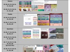Proponen anular elección de ministros por propaganda coordinada de «acordeones»