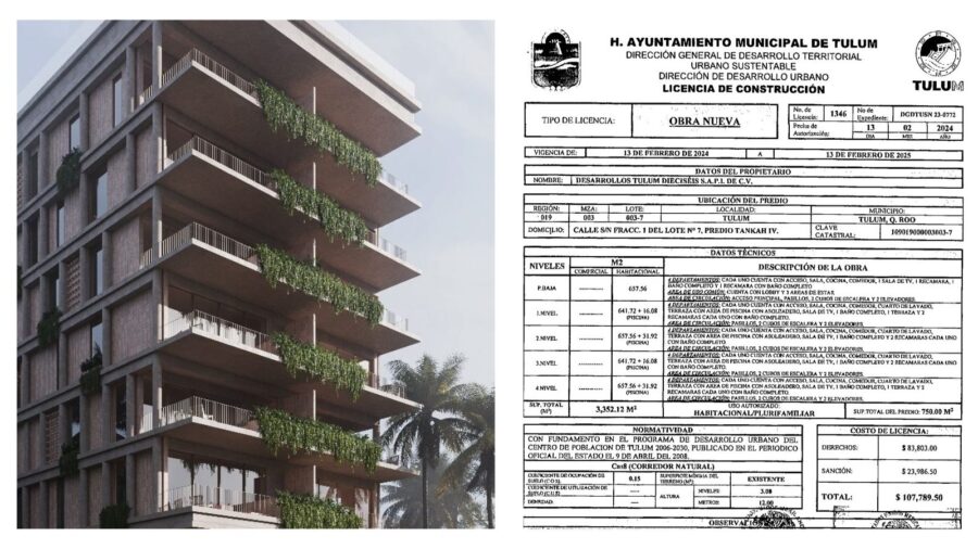 Adamar Lic de regularización