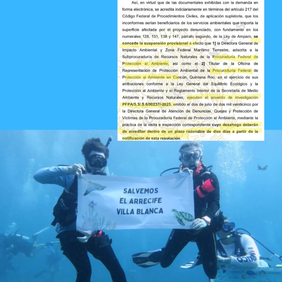 Amparo rechazo al cuarto muelle