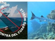 Logra CEMDA suspensión provisional contra cuarto muelle en Cozumel