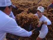 Ana Paty Peralta enfrenta el sargazo con fuerza, estrategia y amor por Cancún