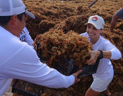 Ana Paty Peralta enfrenta el sargazo con fuerza, estrategia y amor por Cancún