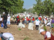 Crea Ana Paty Peralta un Cancún más verde con programa de Arborización Urbana
