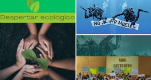 Naderías Totales | Las batallas ecológicas ganadas que permiten soñar en Quintana Roo