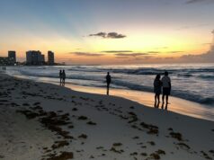 Baja recale de sargazo hasta en 30% en playas de Cancún