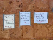 Denuncian Madres Buscadoras impunidad en caso del líder de la CTM en QRoo, acusado de homicidio y desaparición forzada