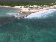 Ambientalistas dicen no al proyecto de muelle industrial en Puerto Morelos