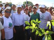 Renueva Ana Paty Peralta áreas verdes con arborización
