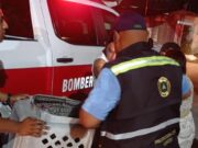 Rescatan autoridades a flamingo agredido en Cancún