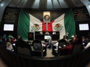 Proponen reforma para garantizar el acceso de los animales de apoyo a personas con discapacidad a espacios públicos o privados