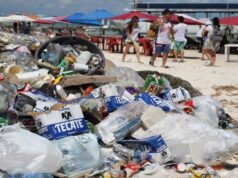 Señala ONG que ley que prohíbe el plástico de un solo uso en Quintana Roo no se cumple