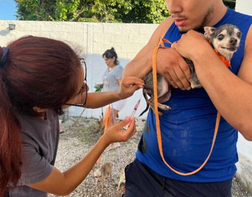 Arranca campaña de vacunación antirrábica en Benito Juárez, con más de 2 mil dosis