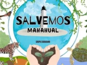 Suman 339 mil firmas en contra de parque acuático de Royal Caribbean en Mahahual