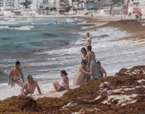 Triplican playas de Cancún recale de sargazo en 2025
