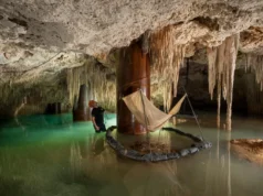 Reconoce Semarnat daños al ambiente por Tren Maya, sobre todo en cenotes y cuevas del tramo 5