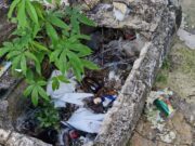 Más de 16 toneladas de basura han sido retiradas de los panteones de Cancún