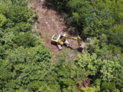 Aceleran menonitas pérdida forestal en Bacalar pese a llamados a la sustentabilidad