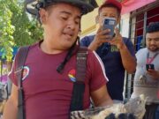 Rescatan y liberan bomberos en Cancún a un halcón mexicano