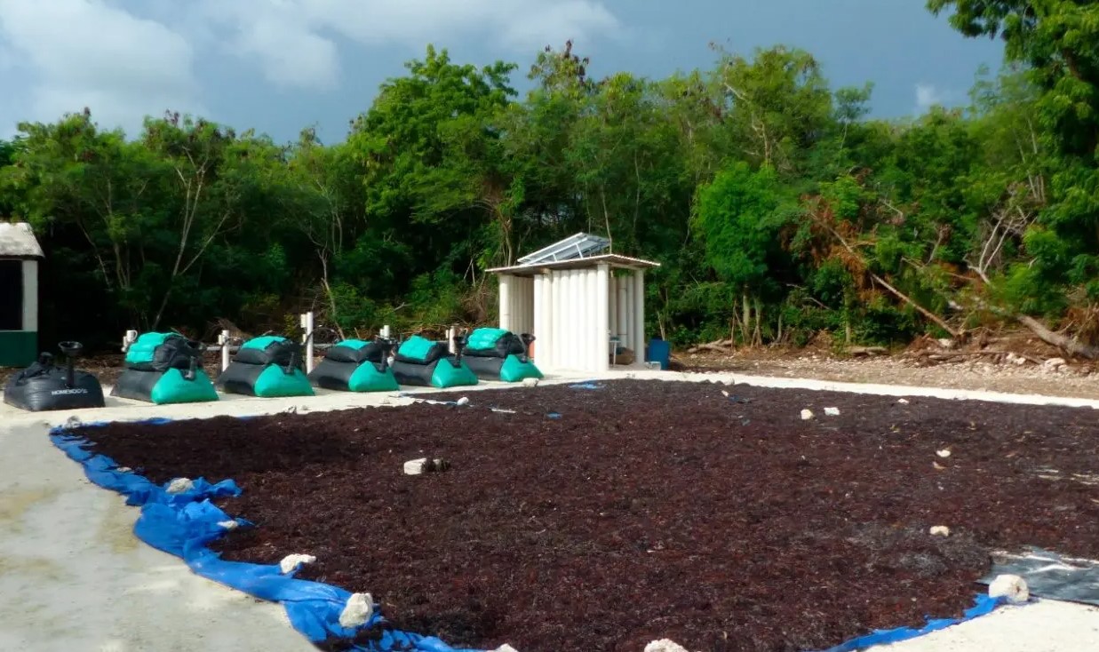 Planta biogas