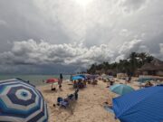 Playa del Carmen luce libre de sargazo