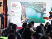 Advierten de daño ambiental irreversible por el Puente Nichupté