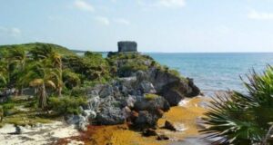 Jaguar Negro | Cuando el sargazo se retira, gobierno de Tulum dispondrá de personal para limpieza de playas concesionadas