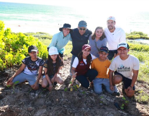 Reforesta Ana Paty Peralta duna costera de playa “Delfines” con 500 riñoninas