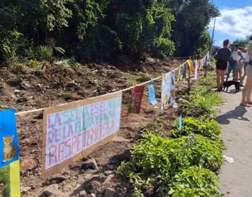 Protestan vecinos de Xcalacoco por deforestación de Bepensa