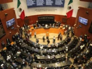 Opinión | El reto de la autorregulación legislativa que juzga desde la derecha conservadora | Y la vida siguió… | Hugo Alday Nieto