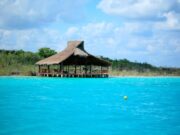 Valoran en 10 mdd anuales la pérdida de ecosistemas en Bacalar