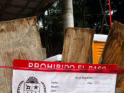 Tulum | Niega juez suspensión y mantiene asegurado el edificio Adamar
