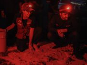 Cerramos con éxito temporada de tortugas marías 2025: Ana Paty Peralta