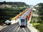 Documentan destrucción por Tren Maya; piden revertir daños