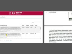 Solicita DMAS sanciones contra desarrollos inmobiliarios que carecen de permisos ambientales