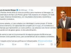Advierte Melgar ruptura del Verde con Morena rumbo a 2027 en San Luis Potosí
